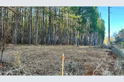 X Grimes Road, Laurel Hill, FL 32567 - Photo 5