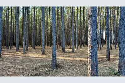 X Grimes Road, Laurel Hill, FL 32567 - Photo 7