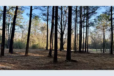 X Grimes Road, Laurel Hill, FL 32567 - Photo 25