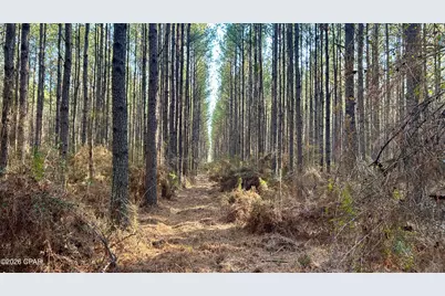 X Grimes Road, Laurel Hill, FL 32567 - Photo 15