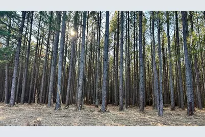 X Grimes Road, Laurel Hill, FL 32567 - Photo 27