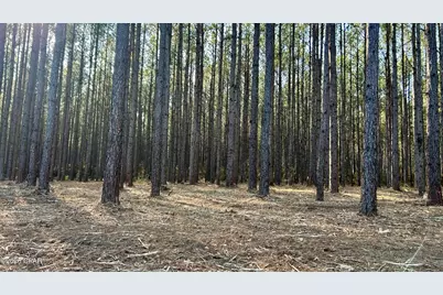 X Grimes Road, Laurel Hill, FL 32567 - Photo 11