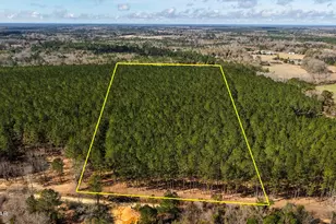 X Grimes Rd, Laurel Hill, FL 32567 - Photo 1