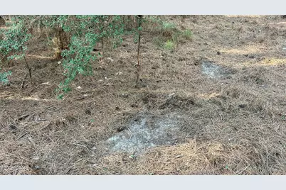 X Grimes Road, Laurel Hill, FL 32567 - Photo 17