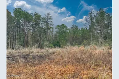 Tract#6409 Davis Road River Road, Caryville, FL 32427 - Photo 3