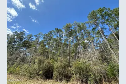 Tract#6409 Davis Road River Road, Caryville, FL 32427 - Photo 3