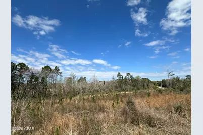 Tract#6409 Davis Road River Road, Caryville, FL 32427 - Photo 11