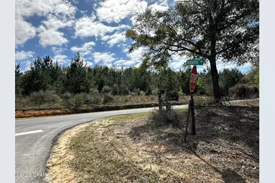 Tract#6409 Davis Road River Road, Caryville, FL 32427 - Photo 1