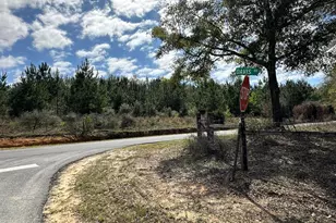 Tract#6409 Davis Road River Rd, Caryville, FL 32427 - Photo 1