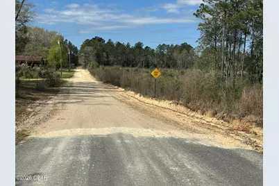 Tract#6409 Davis Road River Road, Caryville, FL 32427 - Photo 9