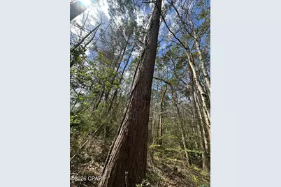 Tract#6409 Davis Road River Road, Caryville, FL 32427 - Photo 7
