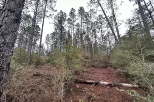 Tract 6418 S Mattox Springs Rd, Caryville, FL 32427 - Photo 1