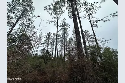 Tract 6418 S Mattox Springs Road #1, Caryville, FL 32427 - Photo 5