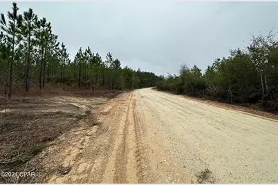 Tract 6418 S Mattox Springs Road #1, Caryville, FL 32427 - Photo 3