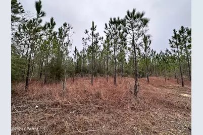 Tract 6418 S Mattox Springs Road #4, Caryville, FL 32427 - Photo 3