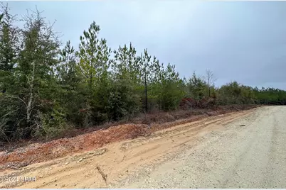 Tract 6418 S Mattox Springs Road #4, Caryville, FL 32427 - Photo 5