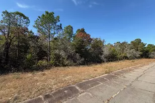 Lot 37 Coronado Dr, Chipley, FL 32428 - Photo 1