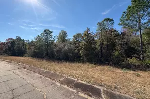 Lot 38 Coronado Dr, Chipley, FL 32428 - Photo 1