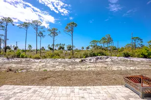 350 Sea Grv Wy, Port Saint Joe, FL 32456 - Photo 55