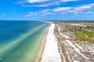 350 Sea Grv Wy, Port Saint Joe, FL 32456 - Photo 77