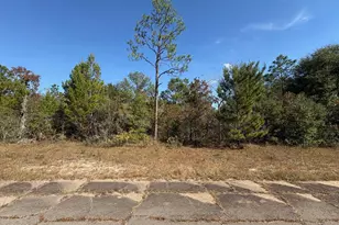 Lot 5 Bonita Dr, Chipley, FL 32428 - Photo 1