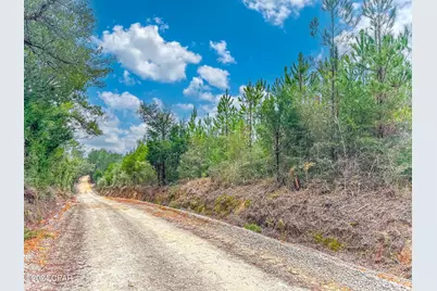 Tract 6418 N Union Hill Road #Bryant bay, Caryville, FL 32427 - Photo 5