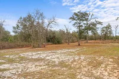 21835 NW Lake McKenzie Boulevard, Altha, FL 32421 - Photo 9