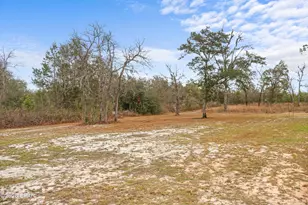 21835 NW Lake McKenzie Blvd, Altha, FL 32421 - Photo 9