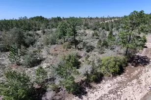 Lot 4 Webster Ave, Chipley, FL 32428 - Photo 1