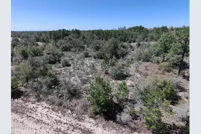 Lot 4 Webster Avenue, Chipley, FL 32428 - Photo 3