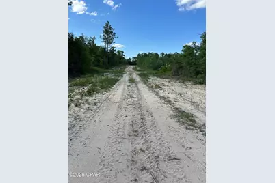 0000 NW Lakeside Avenue #Lot 16 & 17, Altha, FL 32421 - Photo 5