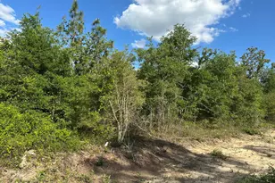 0000 NW Lakeside Ave, Altha, FL 32421 - Photo 1