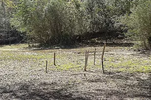 13770 NW Shuman Ferry Rd, Altha, FL 32421 - Photo 87