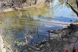 13770 NW Shuman Ferry Rd, Altha, FL 32421 - Photo 33