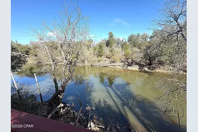 13770 NW Shuman Ferry Road, Altha, FL 32421 - Photo 19