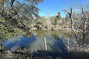 13770 NW Shuman Ferry Rd, Altha, FL 32421 - Photo 3