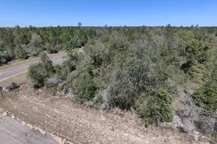 Lot 39 Hunter Circle, Chipley, FL 32428 - Photo 1