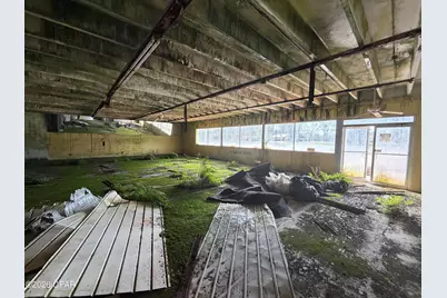 2124 Porter Avenue, Grand Ridge, FL 32442 - Photo 7