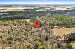 4890 Logan Loop, Malone, FL 32445 - Photo 45