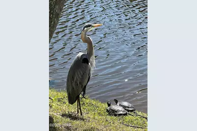 17462 Front Beach Road #42E, Panama City Beach, FL 32413 - Photo 21