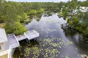 231 Somerset Bridge Rd, Santa Rosa Beach, FL 32459 - Photo 55