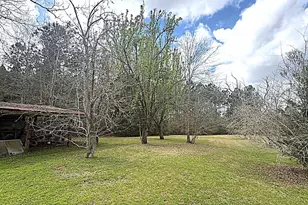 3395 Ontario Rd, Marianna, FL 32448 - Photo 67