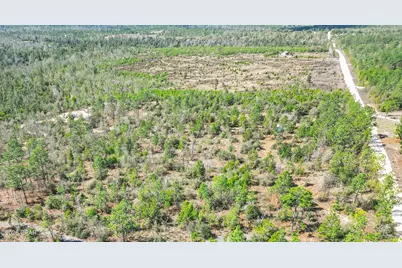 4303 NW Twin Ponds Road, Altha, FL 32421 - Photo 3