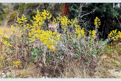 4303 NW Twin Ponds Road, Altha, FL 32421 - Photo 15