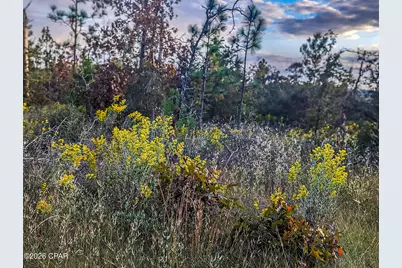 4303 NW Twin Ponds Road, Altha, FL 32421 - Photo 19