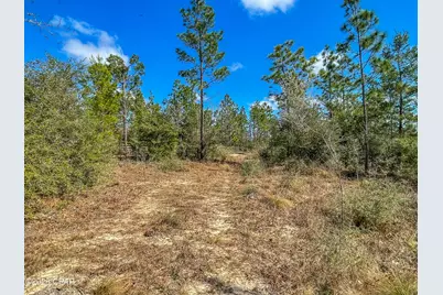 4303 NW Twin Ponds Road, Altha, FL 32421 - Photo 11