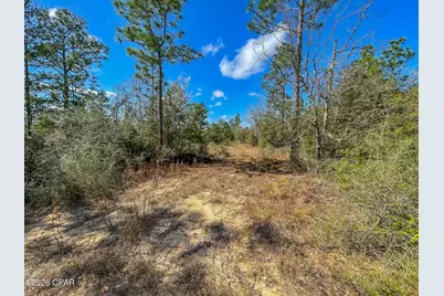 4303 NW Twin Ponds Road, Altha, FL 32421 - Photo 9