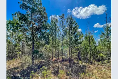 4303 NW Twin Ponds Road, Altha, FL 32421 - Photo 13