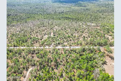 4303 NW Twin Ponds Road, Altha, FL 32421 - Photo 1