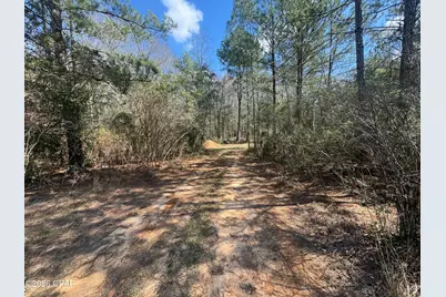 1285 Hwy 179A, Westville, FL 32464 - Photo 1